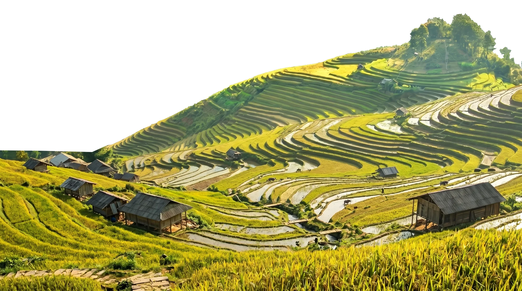 Mountain ranges over the Mường Hoa valley, Sa Pa